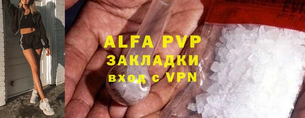 сатива Богданович