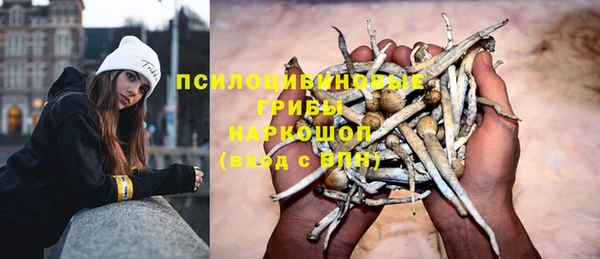сатива Богданович
